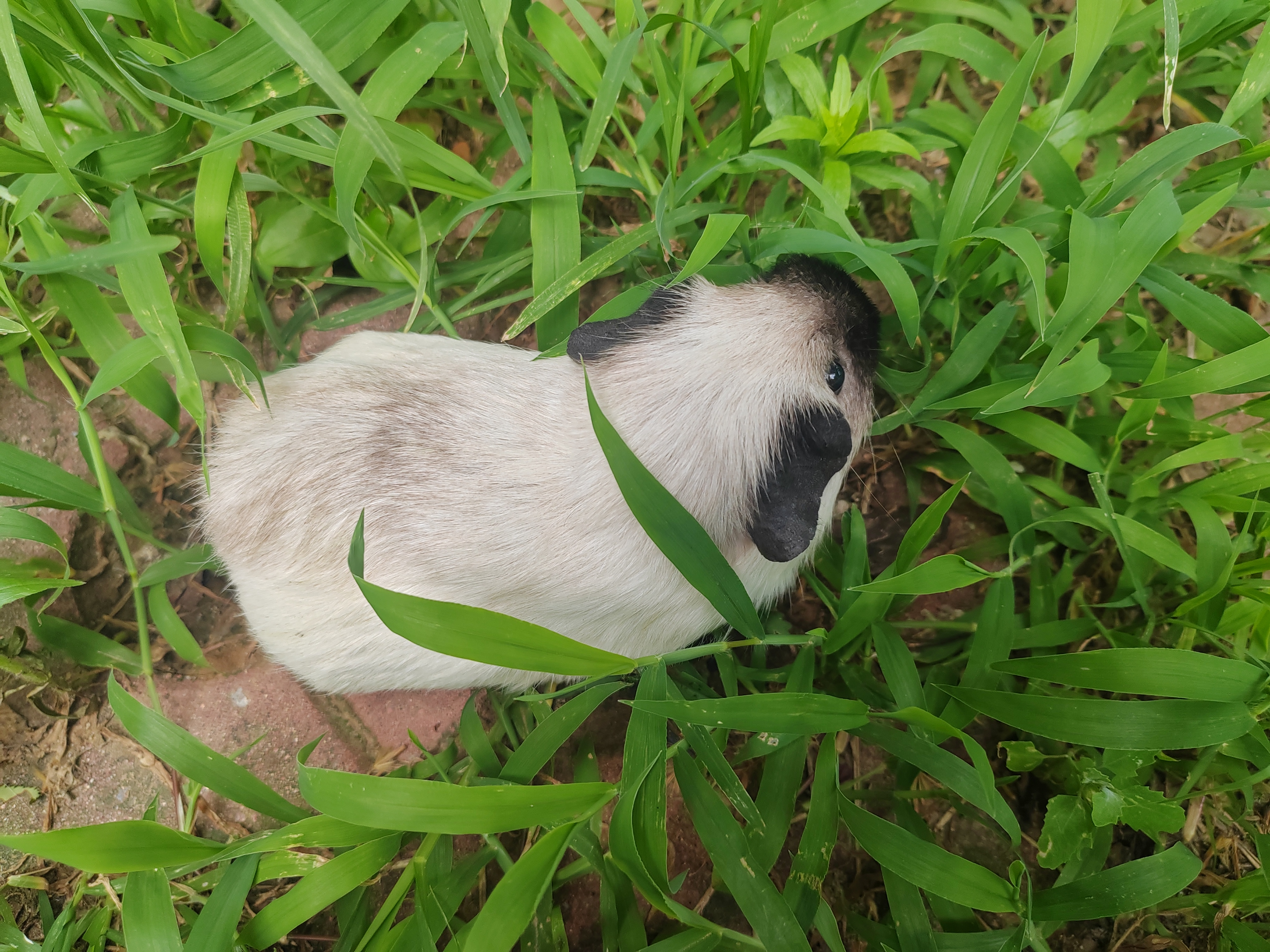 hundreds_grass